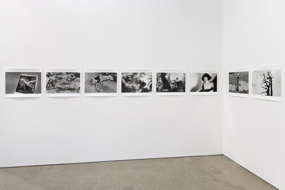 Installation view of Araki's Eros Diary, a long running script of 77 new black and white gelatin prints. Another shot of Araki's photo series.