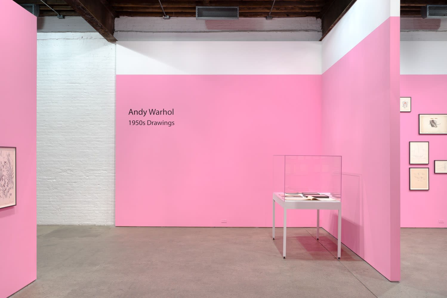 Installation view of Andy Warhol's solo show, featuring 170 of the artist's drawings. The entry into Warhol's draughtsman perception.