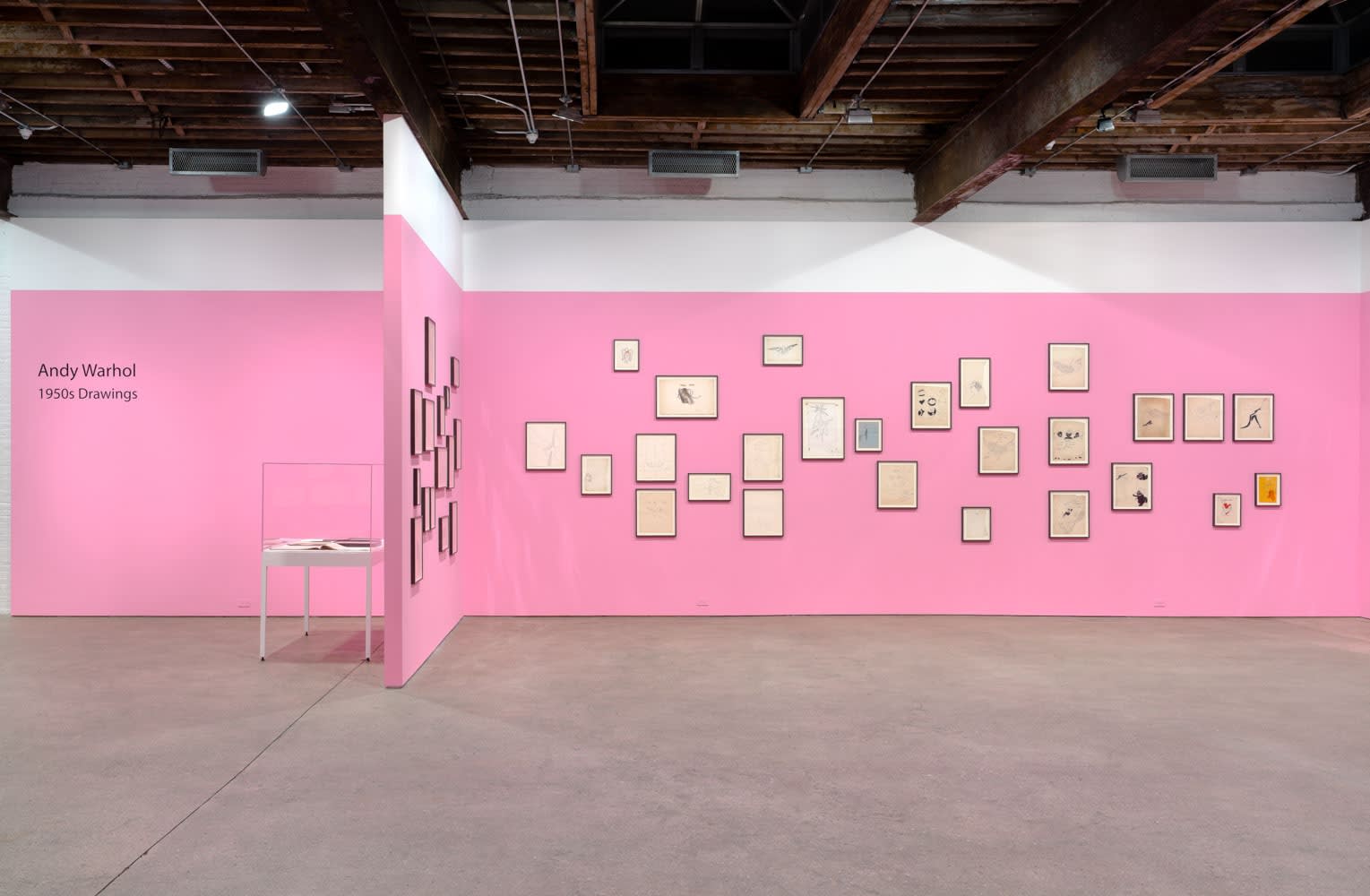 Installation view of Andy Warhol's solo show, featuring 170 of the artist's drawings. Drawings hung salon style on a pink wall.