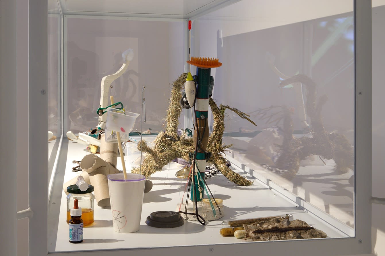 An additional detail shot of the Venice vitrine.