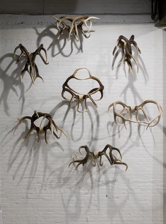 Installation view of Michael Joo's solo show. Cast antlers on wall.