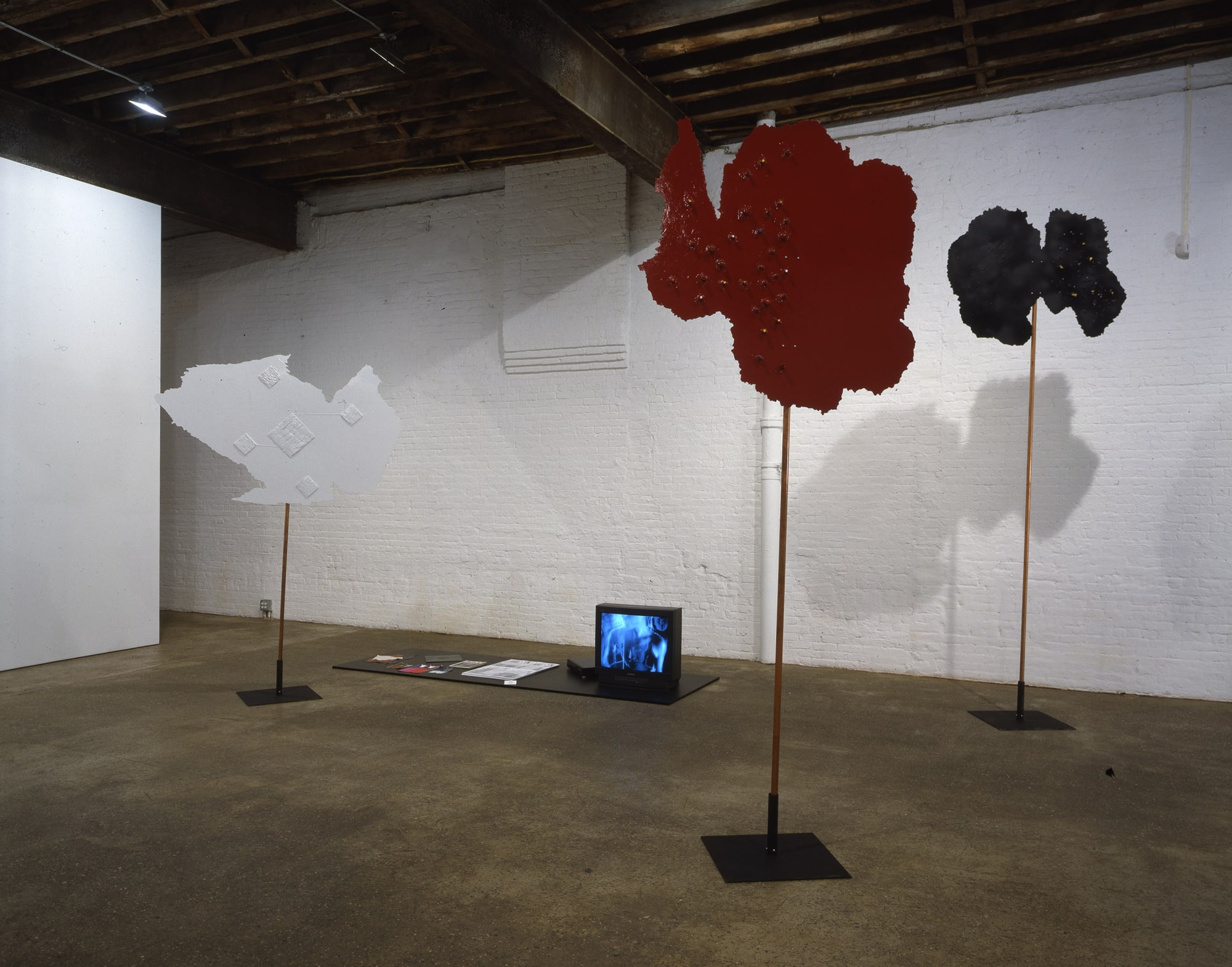 Installation view of Lothar Hempel's fourth solo show at Anton Kern Gallery, a theatrical installation of mixed media works, a video installation, and brain sculptures. Brains and video install featured.