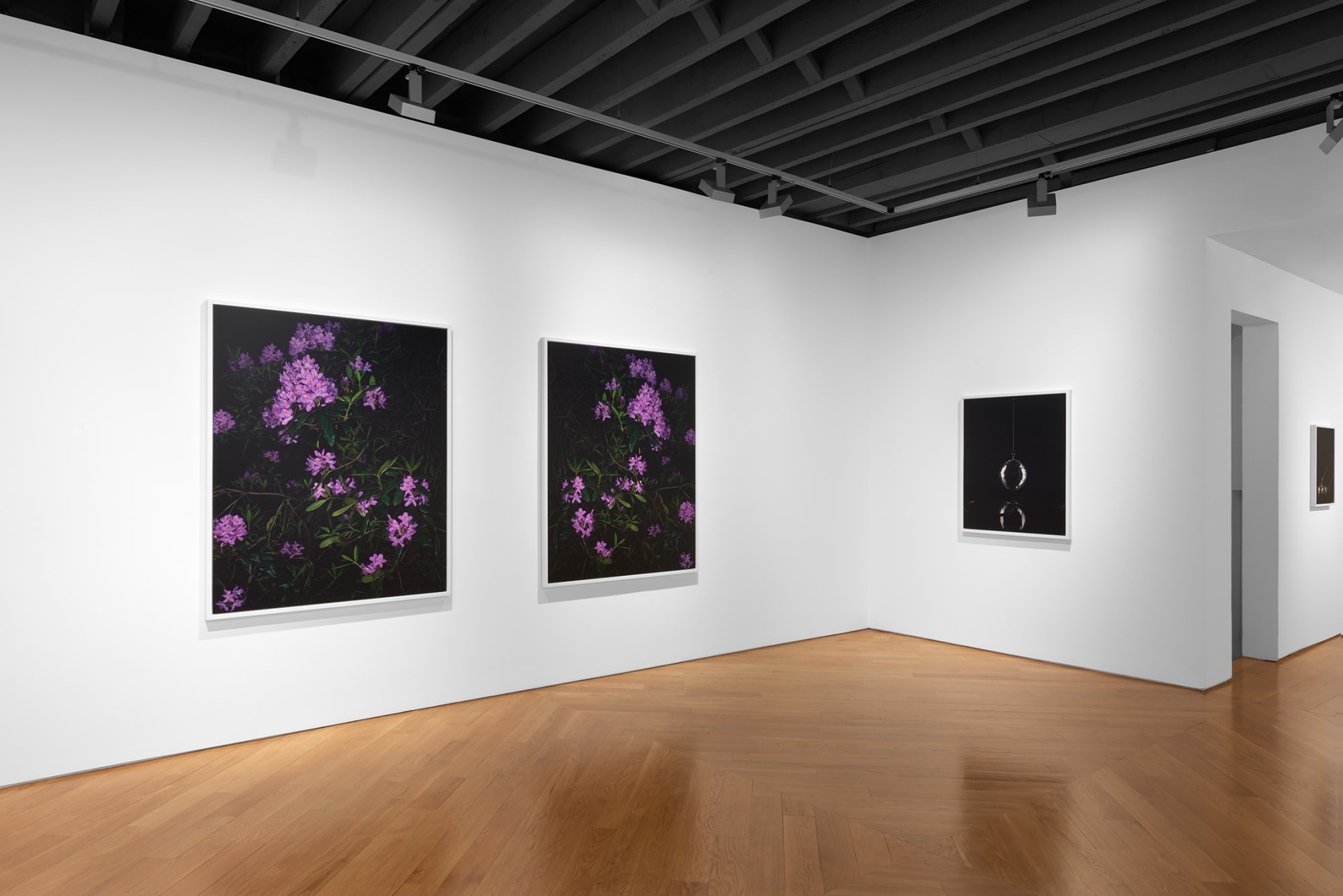 Sarah Jones: Gazing Ball