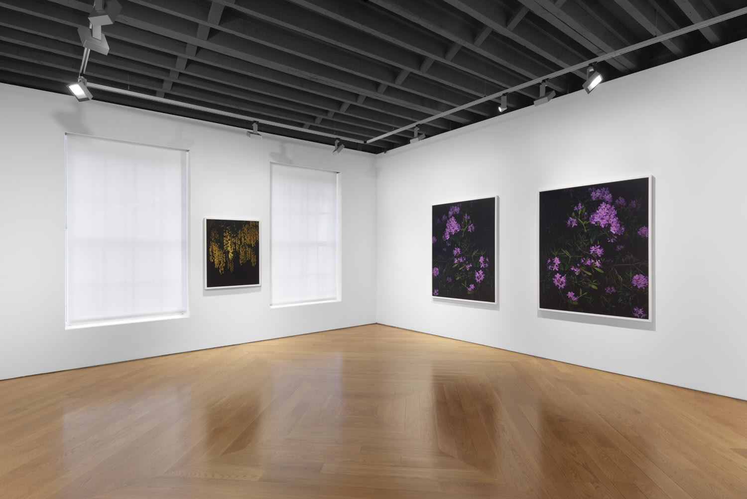 Sarah Jones: Gazing Ball