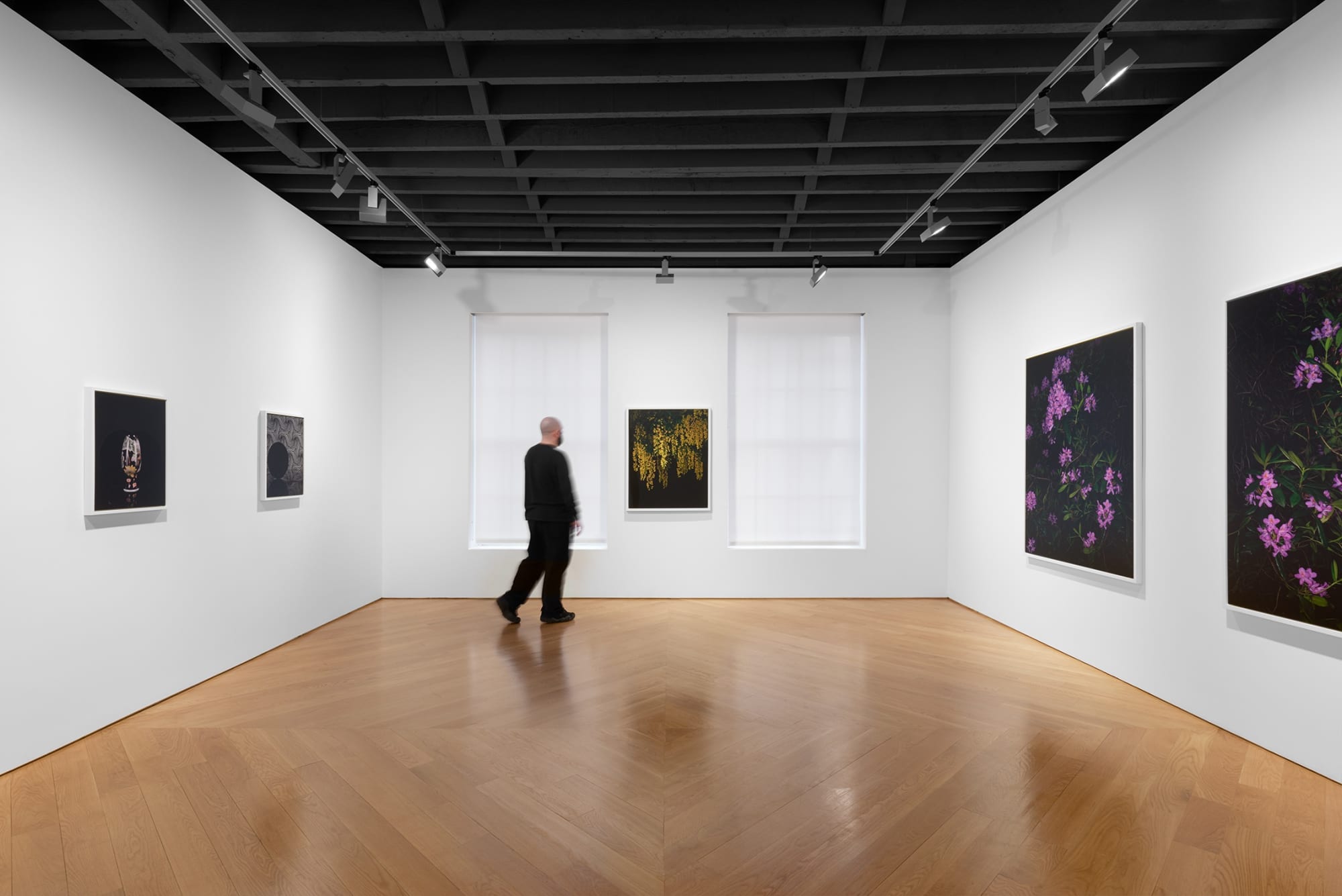 Sarah Jones: Gazing Ball