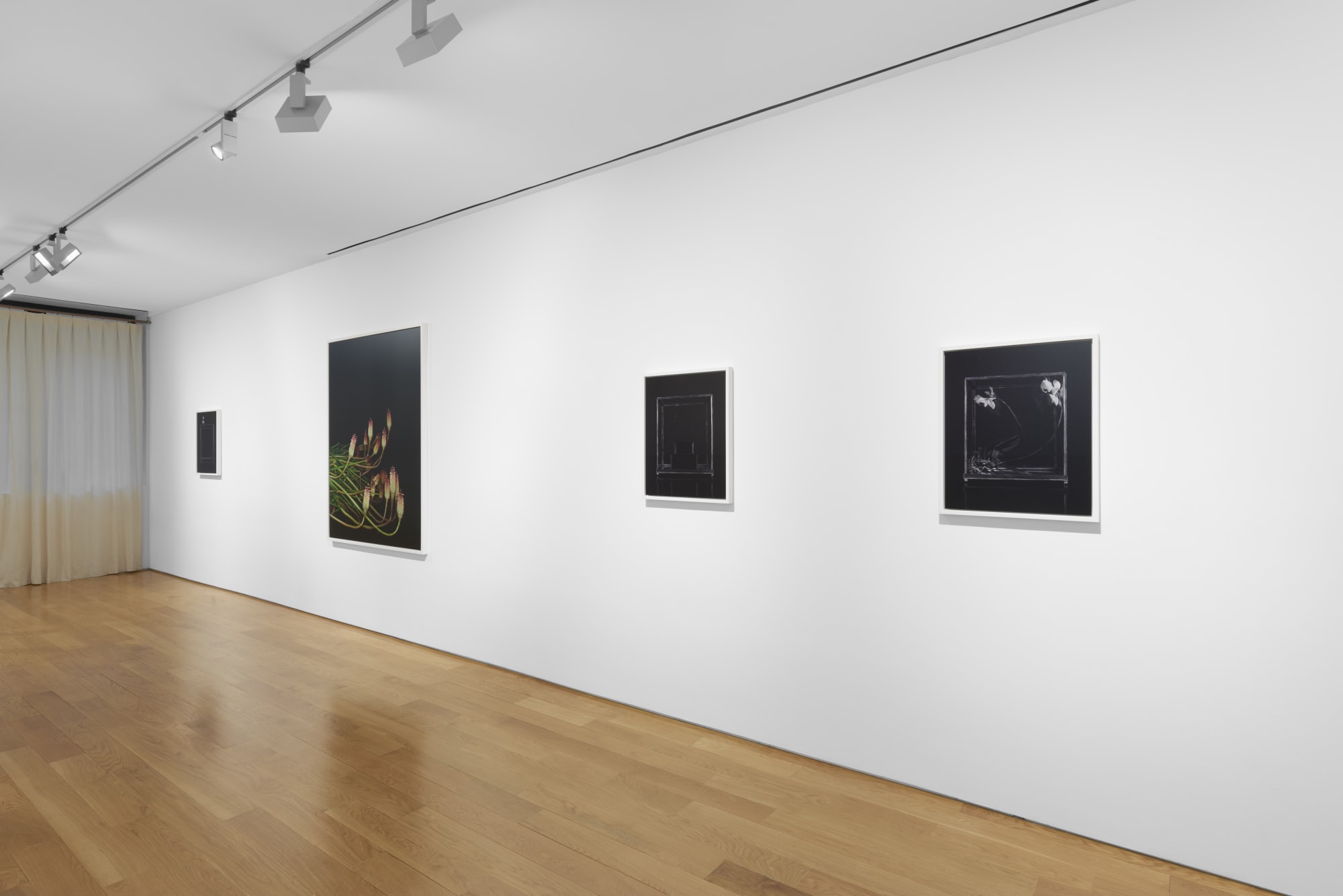 Sarah Jones: Gazing Ball