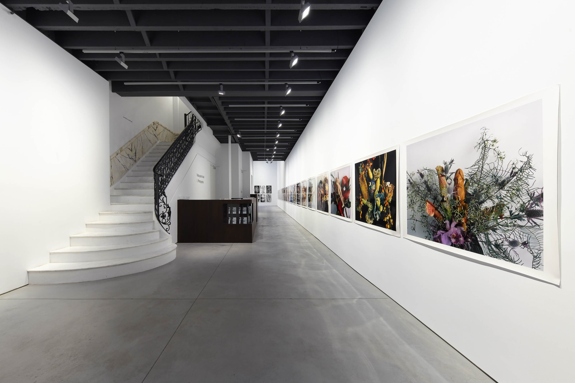 Installation view of Araki's show "I, Photography." The show featured four distinct photographic bodies of work from the Japanese artist. First floor view.