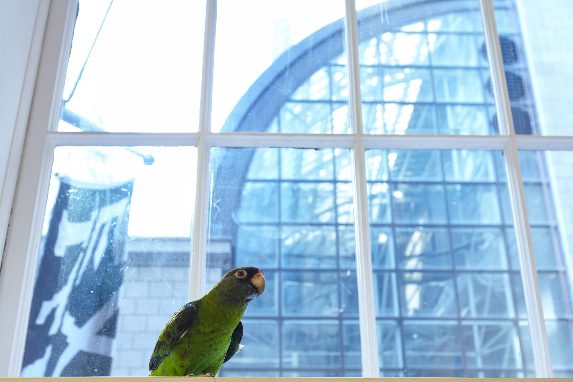 Installation view of the Party exhibition. Presented here is the work of Maurizio Cattelan.