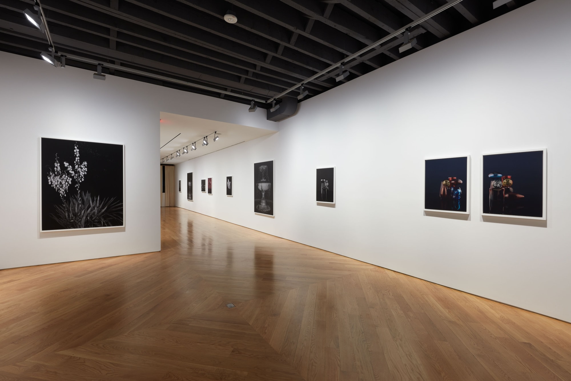 Installation view of Sarah Jones solo show. Many works presented.