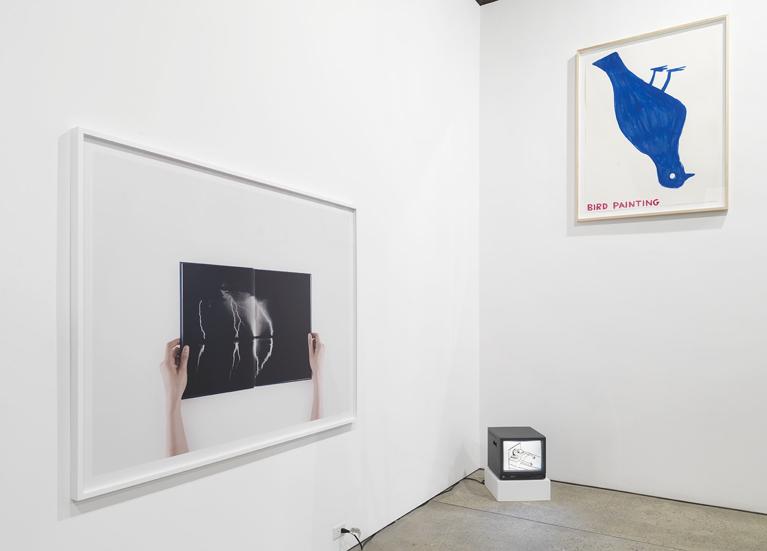 Installation view of Implosion, a 20 year anniversary show featuring all 28 artists on the Anton Kern Gallery roster. Collier and Shrigley featured.