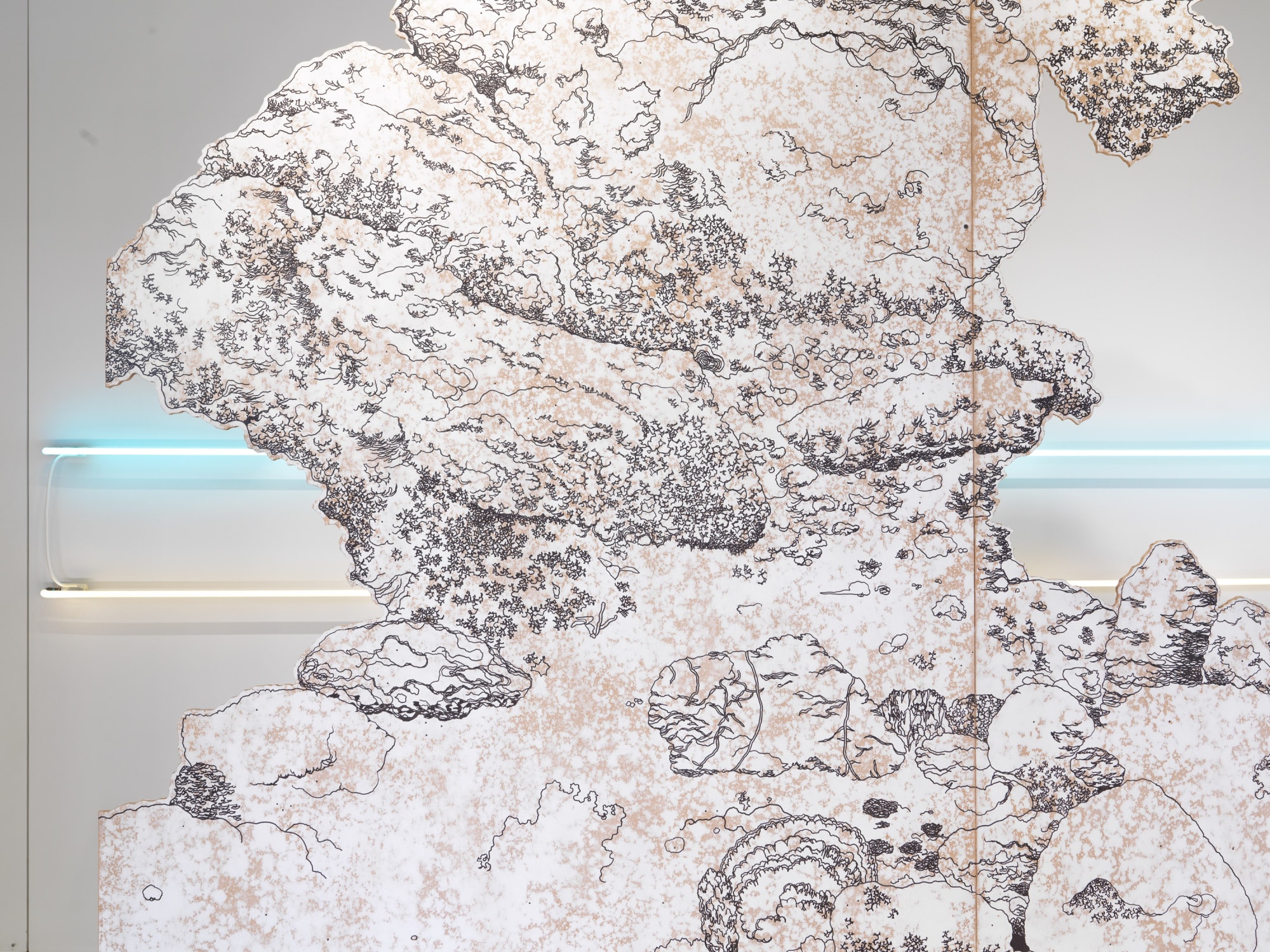 Installation view of Lothar Hempel's WINDOW show. Detailed image of work