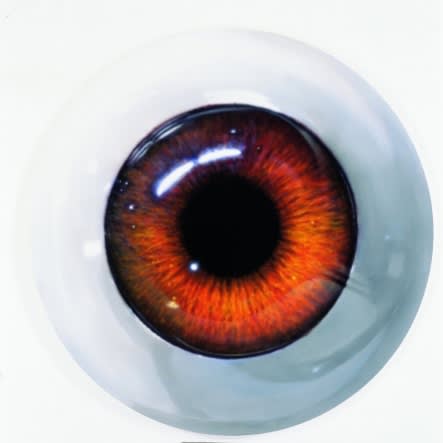 LEE YONGBAEK, PLASTIC EYE - RED, 2008