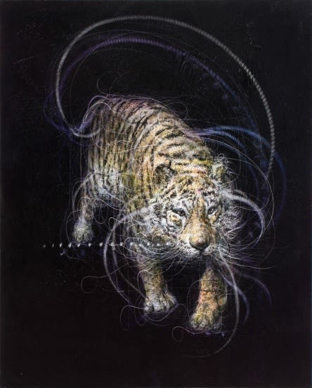 PARK YOUNG GEUN, A TIGER, 2009