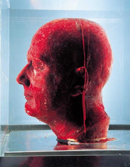 MARC QUINN, SELF, 2001