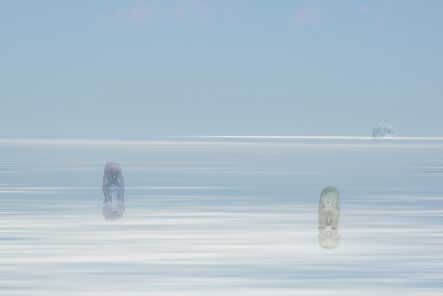 NAM KI SUNG, POLAR BEARS IN ETOSHA PAN, 2009
