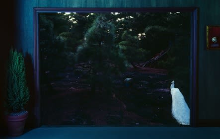 PARK HYUNGGEUN, TENSELESS-64, THE DOUBLE SCREEN, 2009