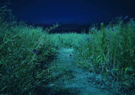 PARK HYUNGGEUN, TENSELESS-65, LAST SUMMER, 2009