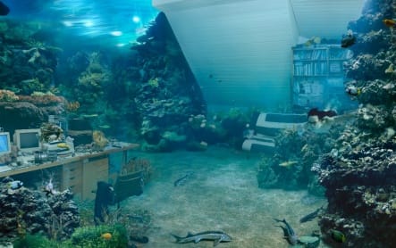 WON SEOUNG WON, DREAMROON - BEIKYOUNG, 2004