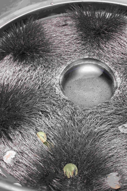 TALLUR L.N., APOCALYPSE, 2010