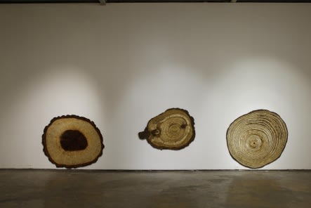 TALLUR L.N., GRAFT, 2010