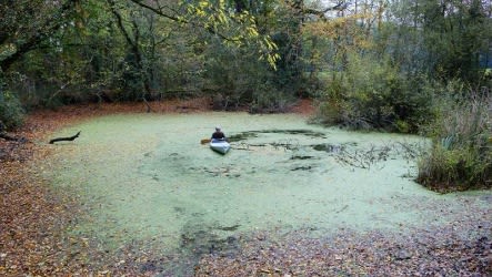 JIANG PENGYI, SUDDEN, 2011