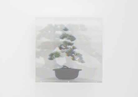 KOHEI NAWA, PIXCELL (TOY - BONSAI #4), 2012