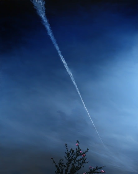 KONG SUNGHUN, HIBISCUS AND VAPOR TRAIL, 2014