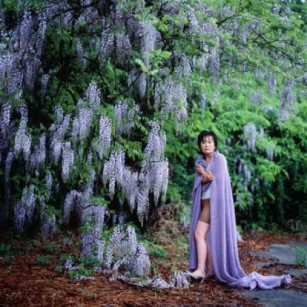 PARK YOUNGSOOK, A FLOWER SHAKES HER 14, 2005