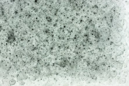 LEE KANGWOOK, THE GESTURE 15020, 2015