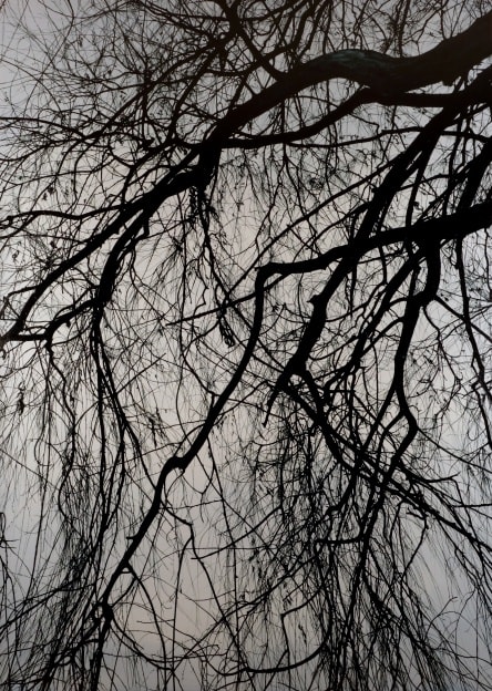 KONG Sunghun: Dusky Landscape