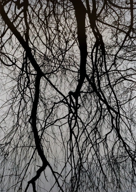 KONG Sunghun: Dusky Landscape