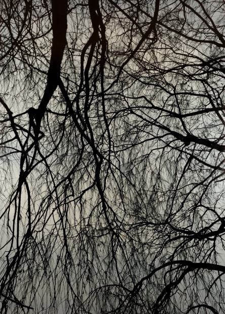 KONG Sunghun: Dusky Landscape