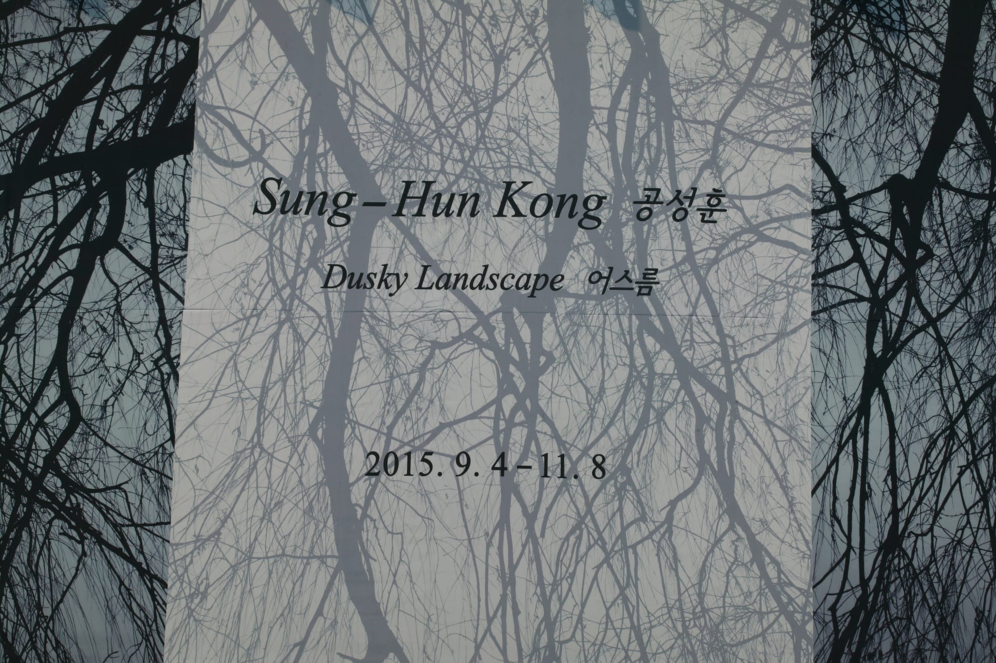 KONG Sunghun: Dusky Landscape