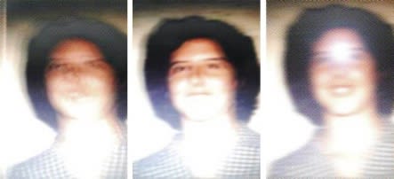 Insane PARK: Director's Cut