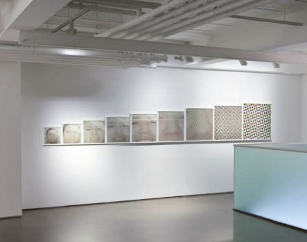 Insane PARK: Director's Cut