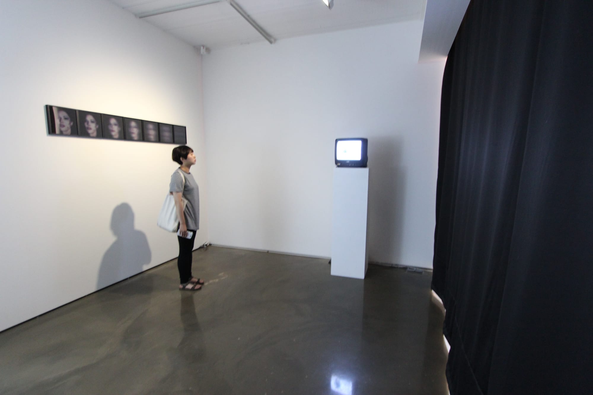 Insane PARK: Director's Cut