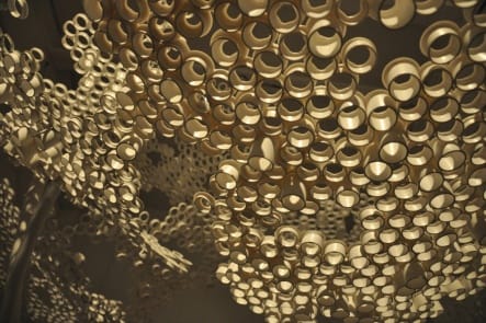 TOM PRICE, PP TREE, 2011