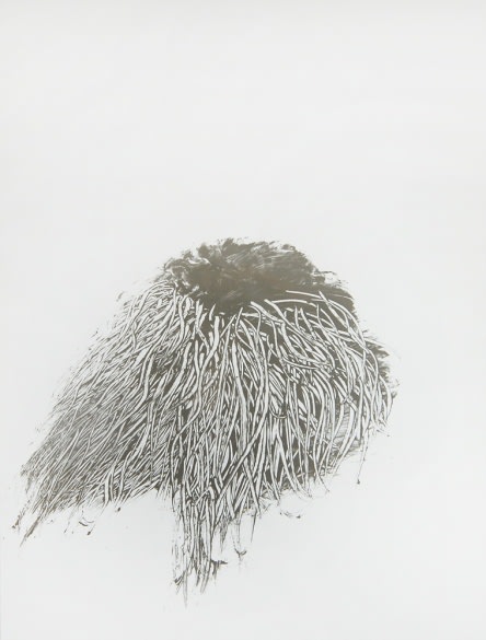 KOHEI NAWA, ELEMENT 4, 2002