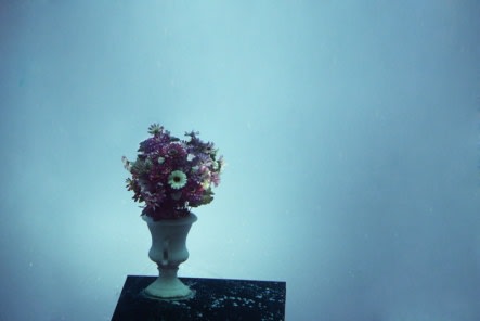 CHENG RAN, UNTITLED, 2012