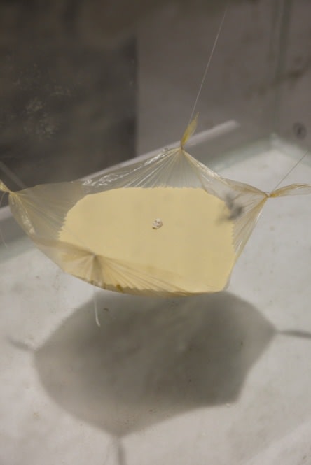 LEE DONGWOOK, UNTITLED, 2012