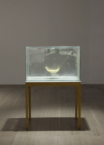 LEE DONGWOOK, UNTITLED, 2012