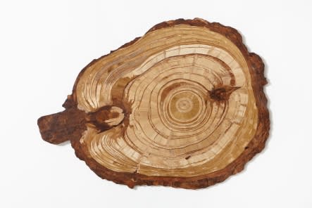 TALLUR L.N., GRAFT(PART 1), 2010