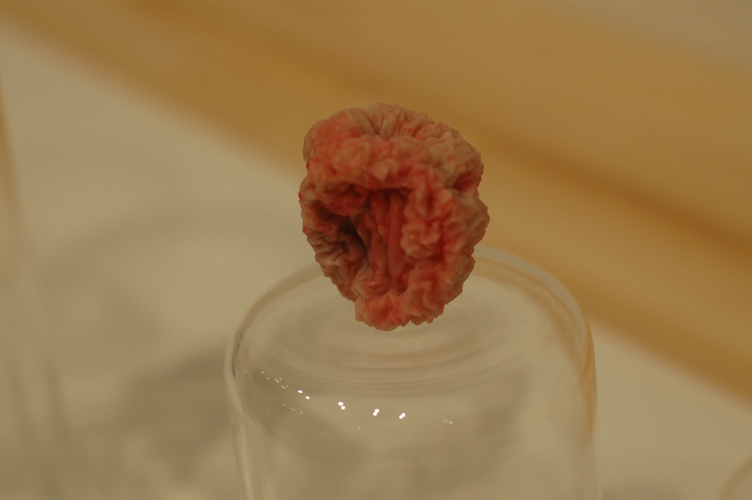 LEE Dongwook: Breeding Pond