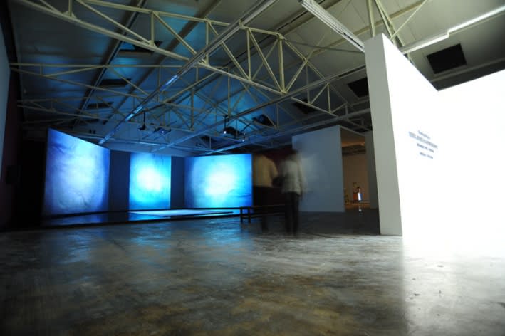 WANG Jianwei & Nalini MALANI: Himalayas Project