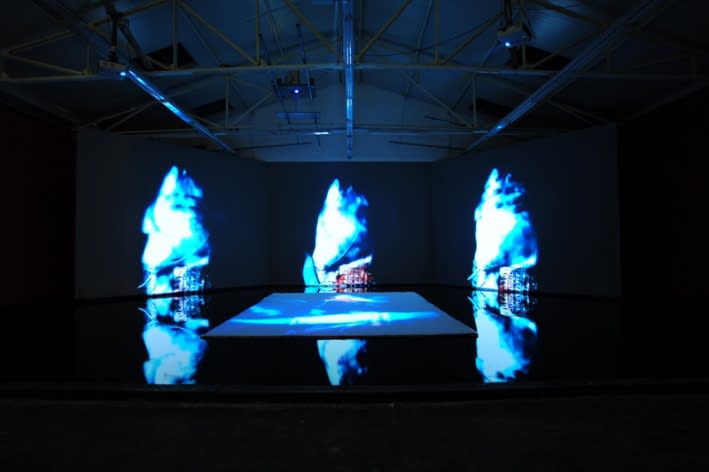 WANG Jianwei & Nalini MALANI: Himalayas Project