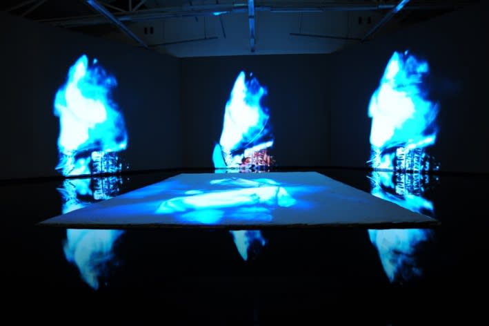 WANG Jianwei & Nalini MALANI: Himalayas Project