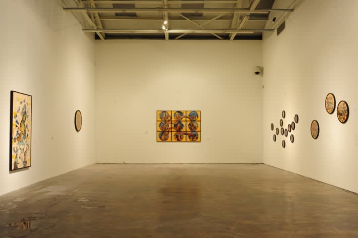 WANG Jianwei & Nalini MALANI: Himalayas Project