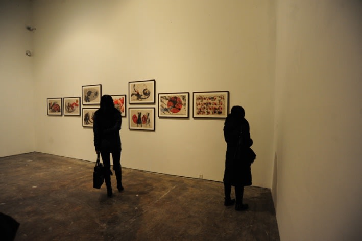 WANG Jianwei & Nalini MALANI: Himalayas Project