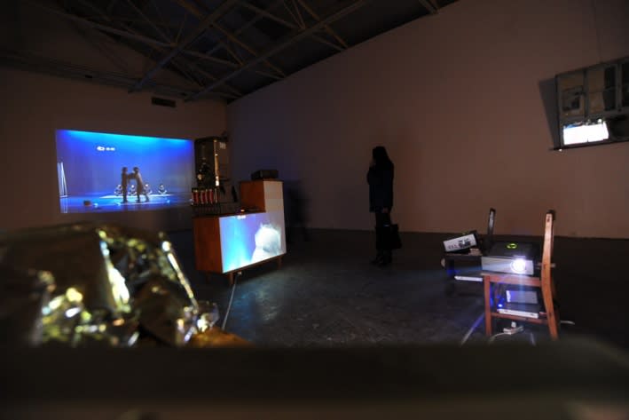 WANG Jianwei & Nalini MALANI: Himalayas Project