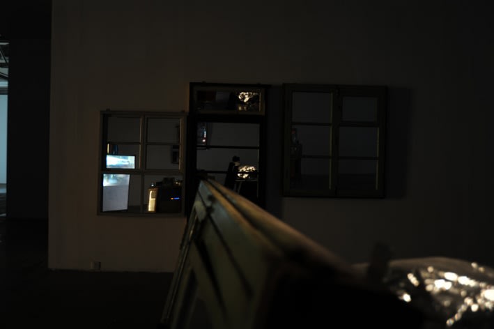 WANG Jianwei & Nalini MALANI: Himalayas Project